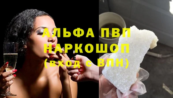 сатива Балахна