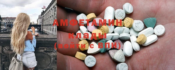 сатива Балахна