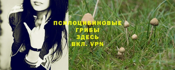 сатива Балахна