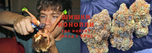 сатива Балахна