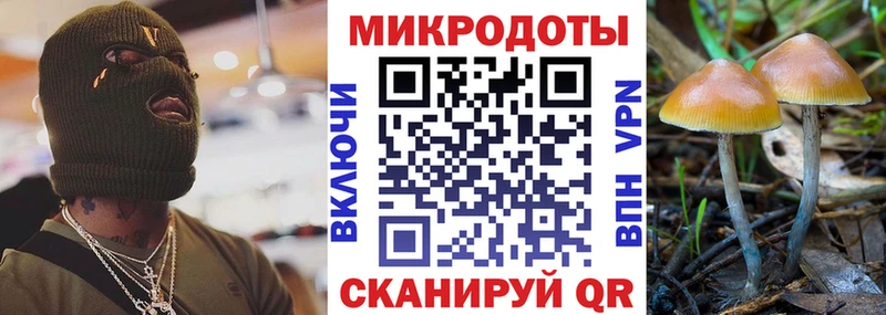 где можно купить   Высоцк  Галлюциногенные грибы MAGIC MUSHROOMS 
